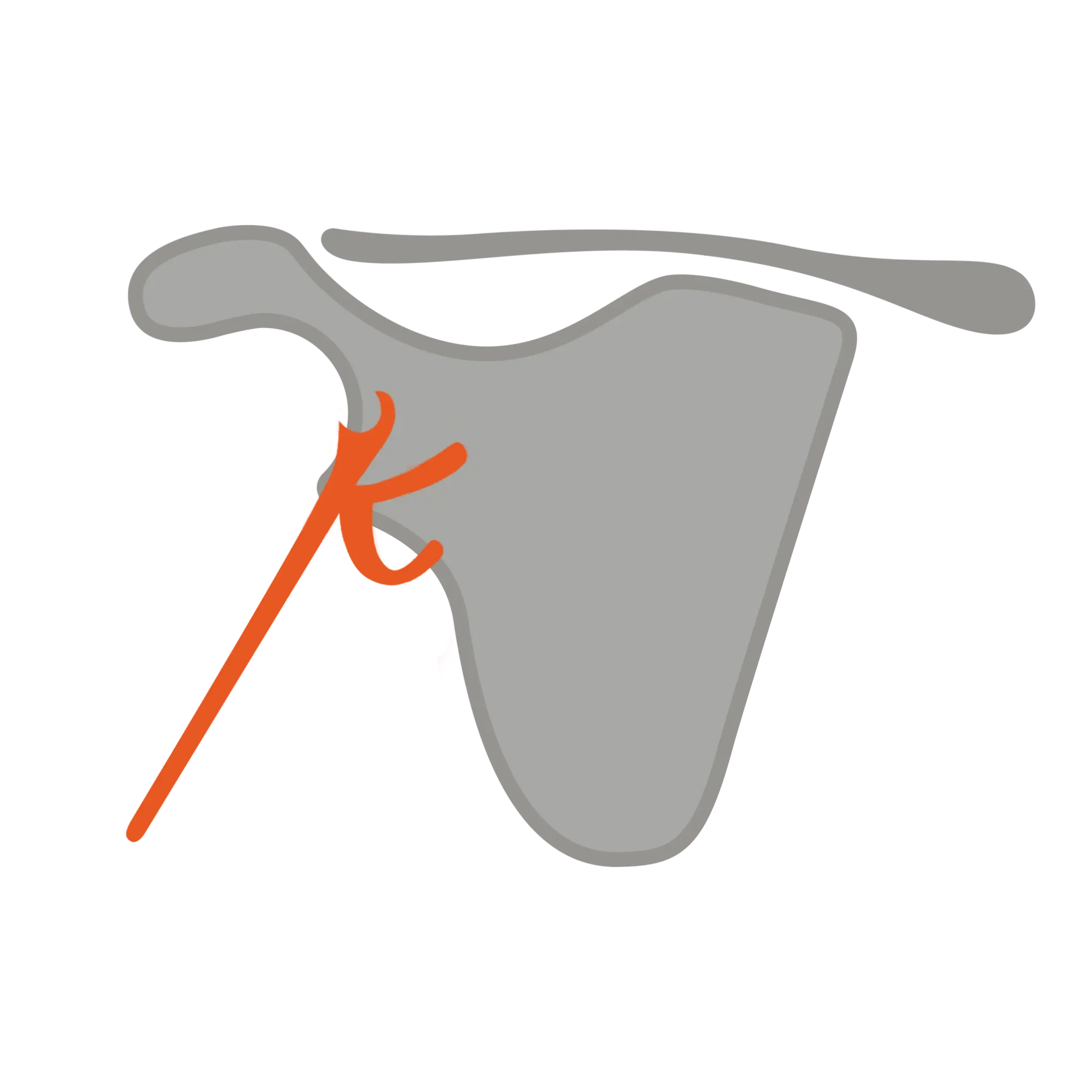 Shoulder Instability Logo, Shoulder Specialist Hamo Kenawy