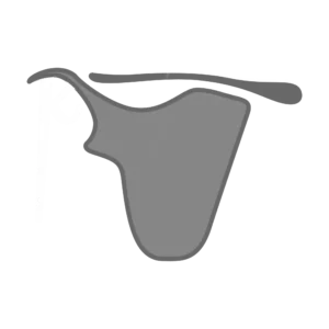 Rotator cuff arthropathy shoulder illustration, Shoulder Specialist Hamo Kenawy