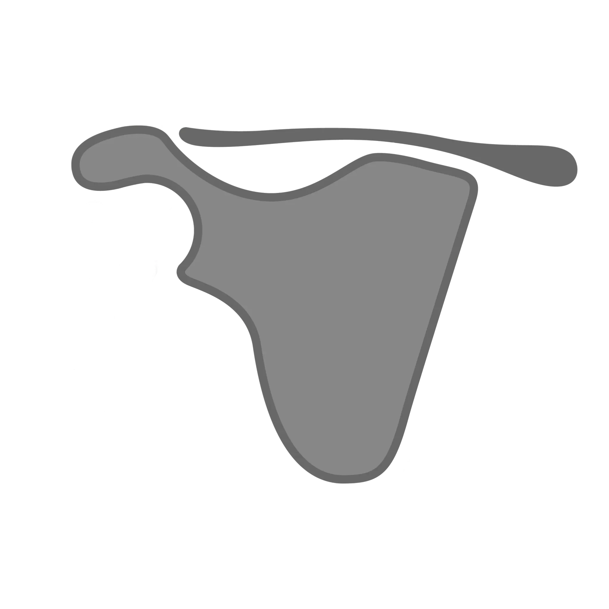 shoulder arthritis Logo, Shoulder Specialist Hamo Kenawy