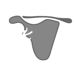 Shoulder Instability Logo, Shoulder Specialist Hamo Kenawy